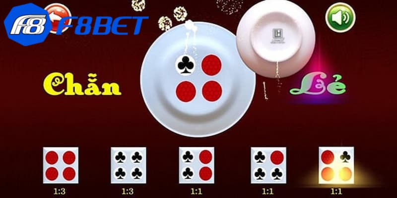 Chỉ nên theo một cửa cược