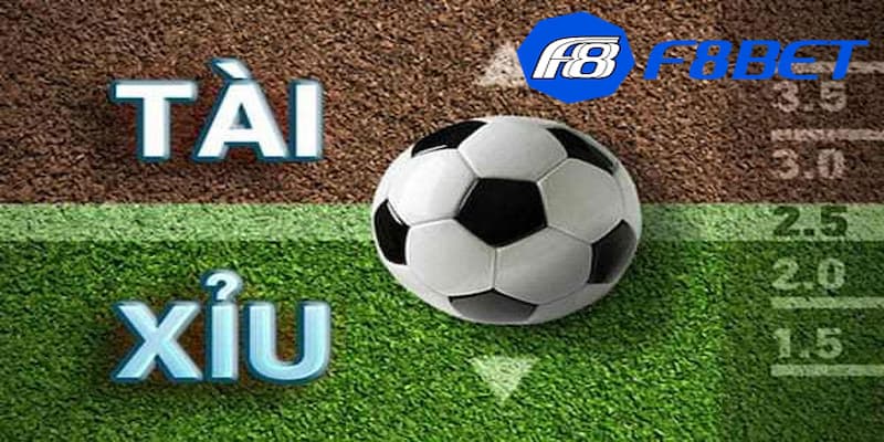 Hướng dẫn cách đọc tài xỉu trong bóng đá chuẩn xác