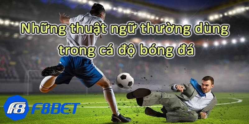 Các thuật ngữ trong cá cược bóng đá tại nhà cái online