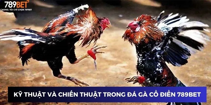 Chiến thuật và kỹ thuật trong đá gà tại 789BET