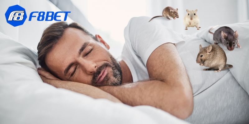 Nằm mơ thấy chuột có thể là một lời cảnh tỉnh về những vấn đề tài chính hoặc những quyết định sai lầm trong quá khứ