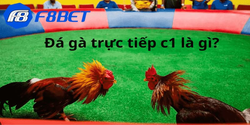 Định nghĩa về đá gà cúp C1