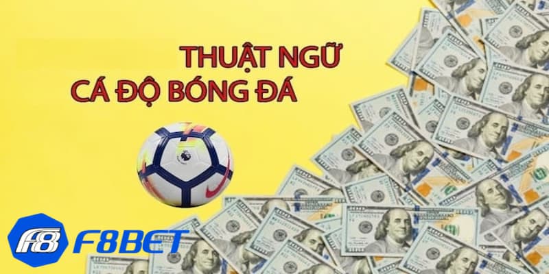 Vai trò khi nắm được thuật ngữ trong cá cược bóng đá