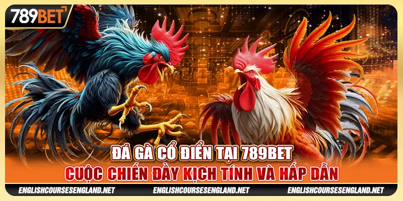 Đá Gà Cổ Điển Tại 789BET Cuộc Chiến Đầy Kịch Tính Và Hấp Dẫn