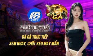 đá gà trực tiếp