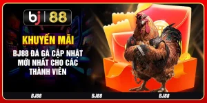 Khuyến Mãi Bj88 Đá Gà Cập Nhật Mới Nhất Cho Các Thành Viên
