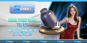 công thức đánh tài xỉu